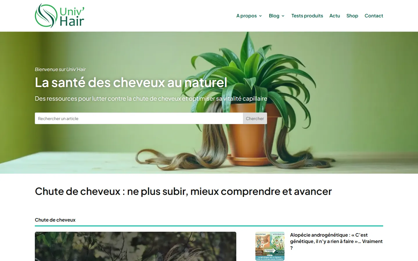 Univ’Hair, le site sur ordinateur